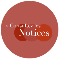 vers l'espace de consultation des notices